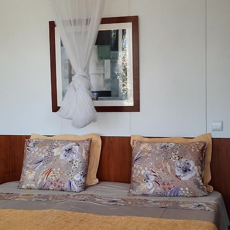 Adore Portugal Bungalow Natureza & Vista De Serra Lousã Eksteriør billede