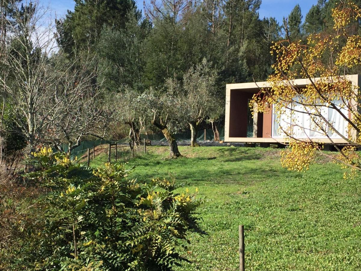 Adore Portugal Bungalow Natureza & Vista De Serra Lousã Eksteriør billede