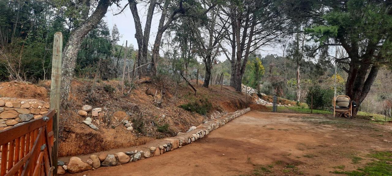 Adore Portugal Bungalow Natureza & Vista De Serra Lousã Eksteriør billede